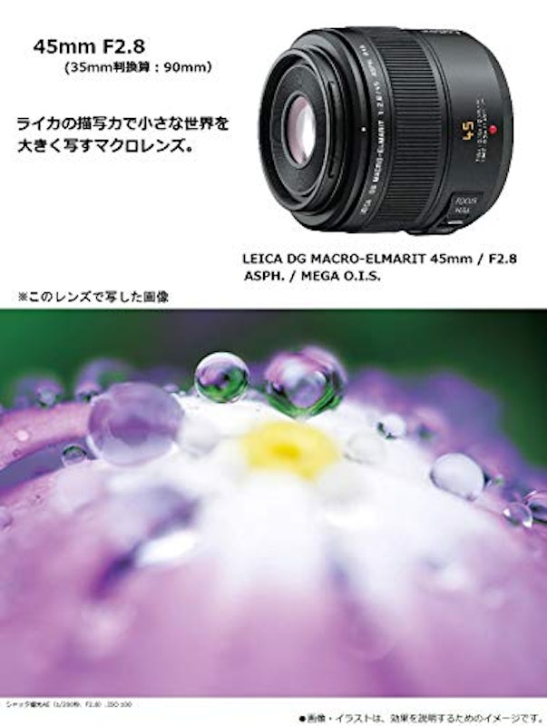 LEICA DG MACRO-ELMARIT 45mm F2.8 ASPH. MEGA O.I.S 4