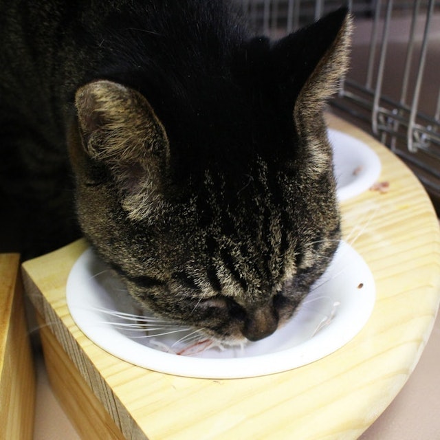 フジサワ カニかまを全27商品と比較 口コミや評判を実際に使ってレビューしました Mybest