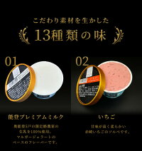 アイスジェラートセット 2