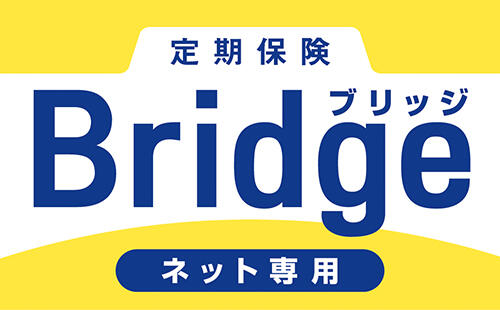 ネット専用定期保険Bridge[ブリッジ] 1