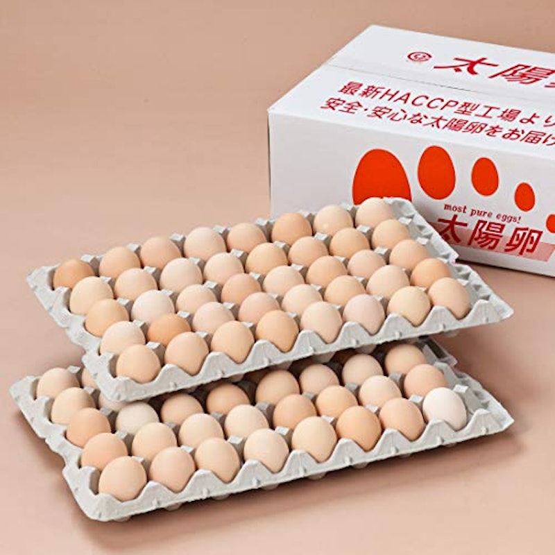 太陽卵 1