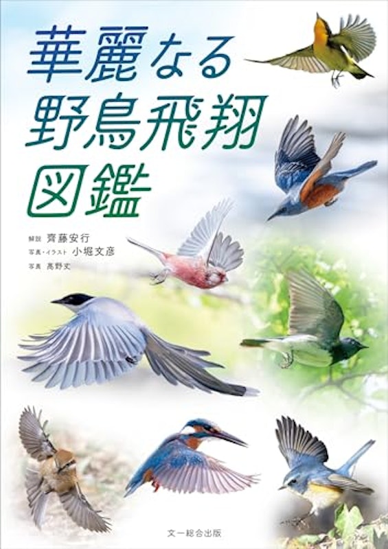 華麗なる野鳥飛翔図鑑 1