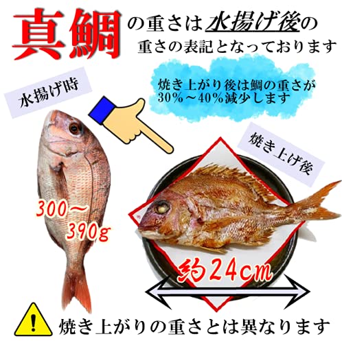 お食い初め 鯛 はまぐり セット 3