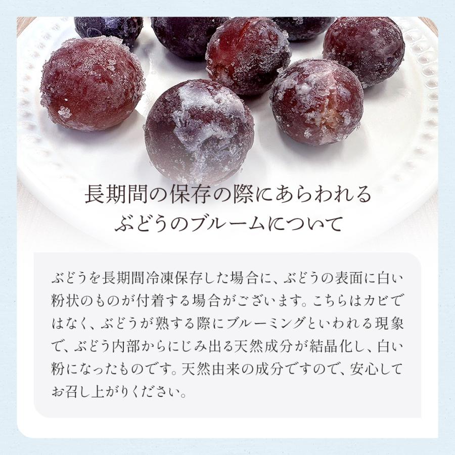 冷凍巨峰 10