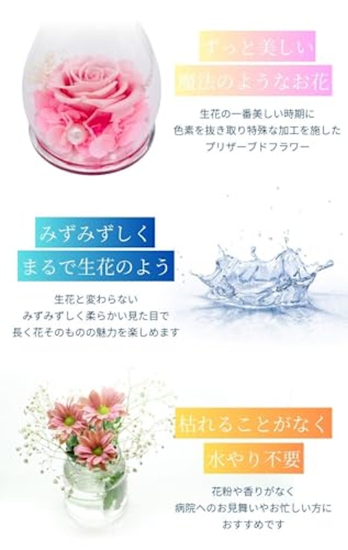 プリザーブドフラワー 5