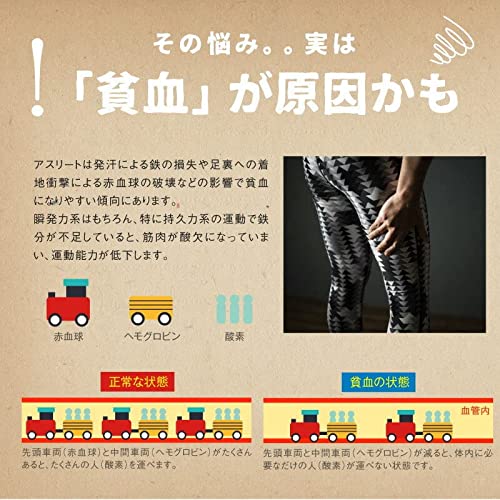 ヘム鉄サプリ 3