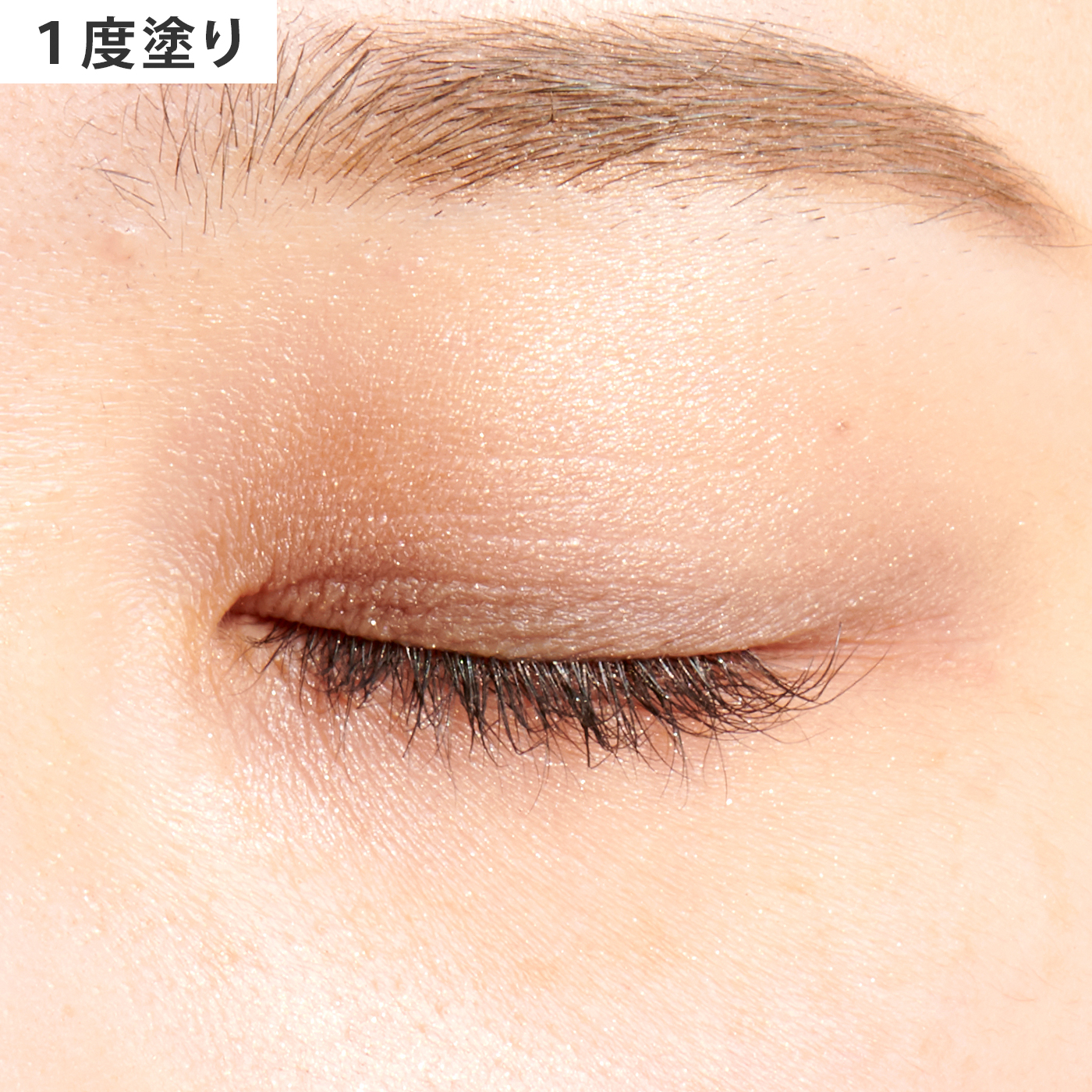 人気 おすすめ ソフィーナ オーブクチュール アイシャドウチップ 04a ブラシ チップ 1本 rdm.mtsn5jkt.sch.id 人気 おすすめ ソフィーナ オーブクチュール アイシャドウチップ 04a ブラシ チップ 1本 rdm.mtsn5jkt.sch.id