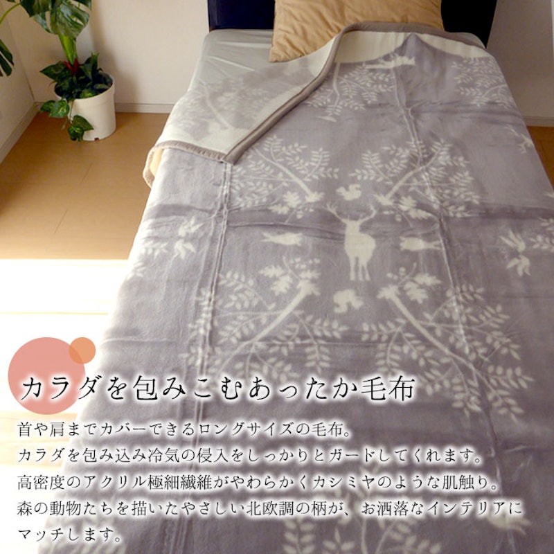 ニューマイヤー毛布 2