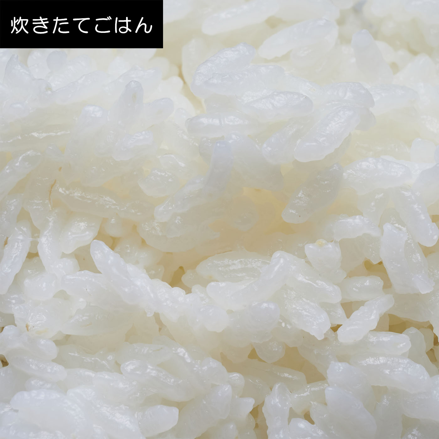 圧力IHジャー炊飯器 9