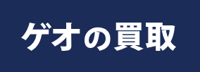 ゲオ オンライン 1