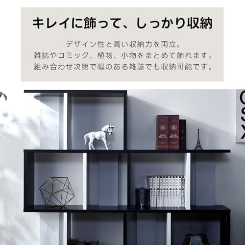 S字 ディスプレイラック ラスティナ 4段 5