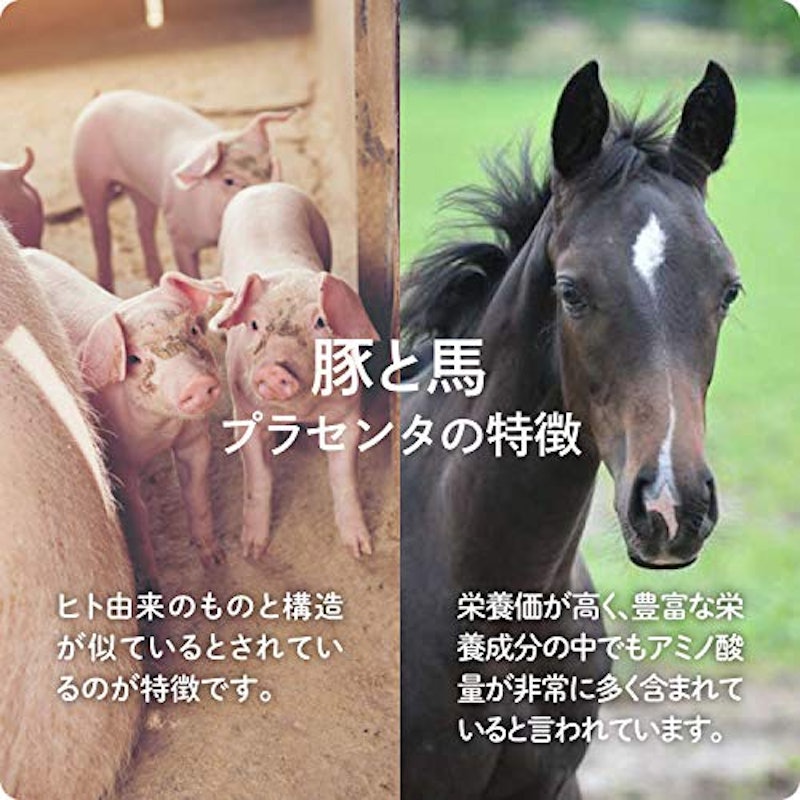 MDポーサイン100 6