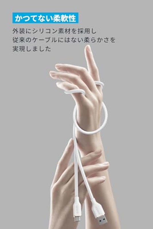 USB-C & USB-A ケーブル(Flow) 2