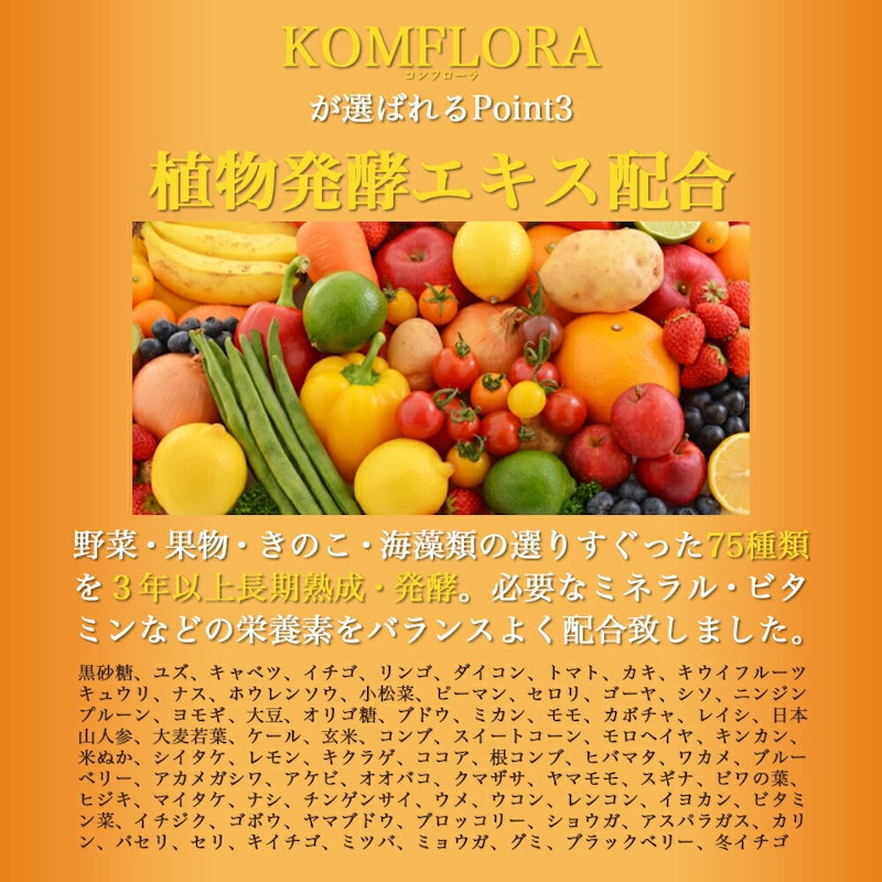 KOMFLORA KOMBUCHA 6