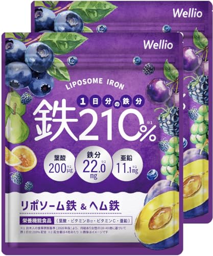 W鉄分 1