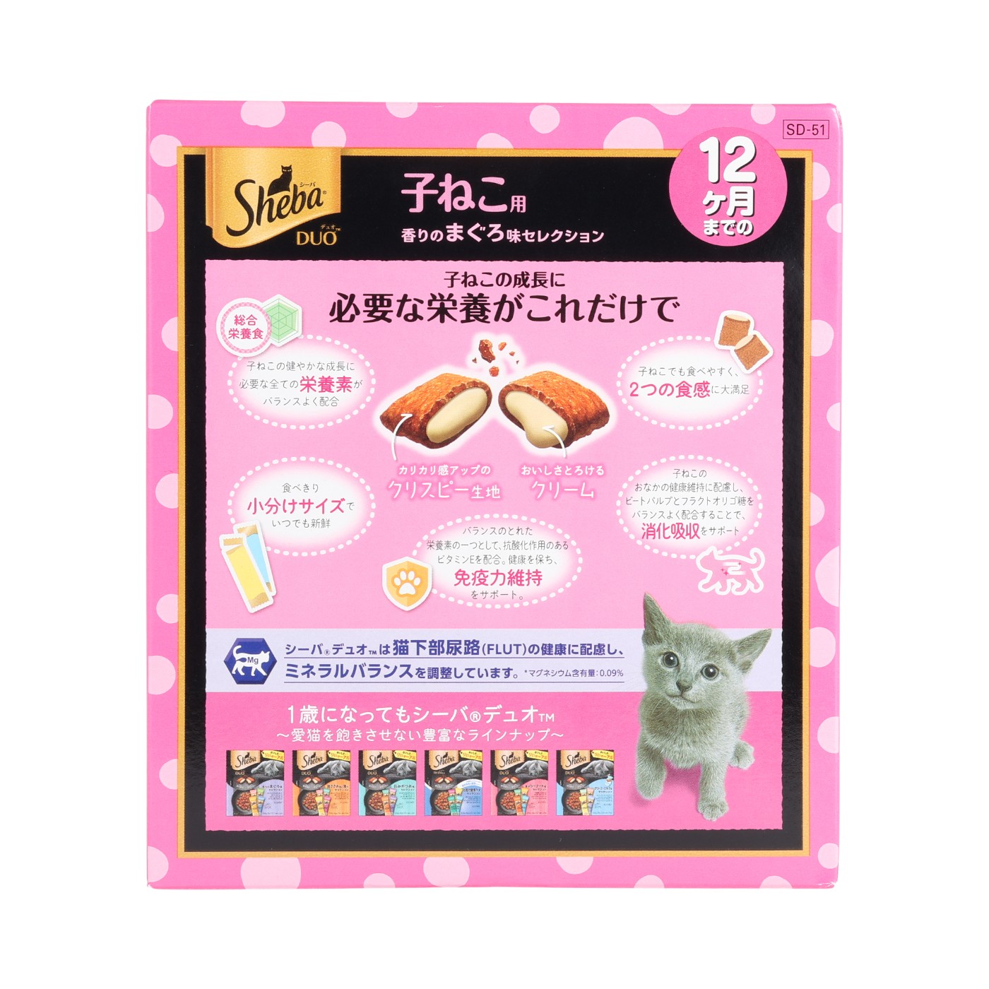 12ヶ月までの子ねこ用 2