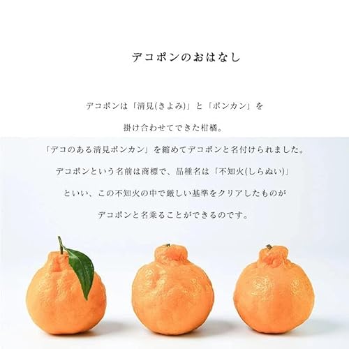 デコポン 2
