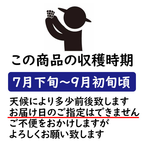 おかやま晩生白桃 3