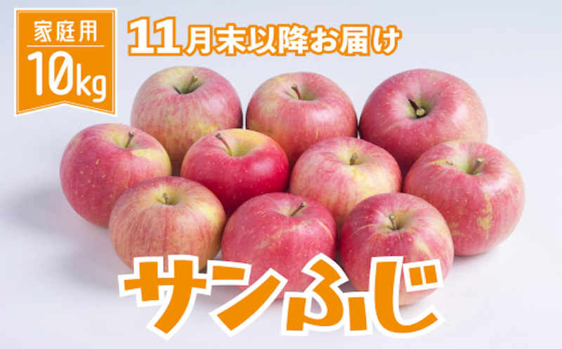 りんご サンふじ 家庭用 10kg 1