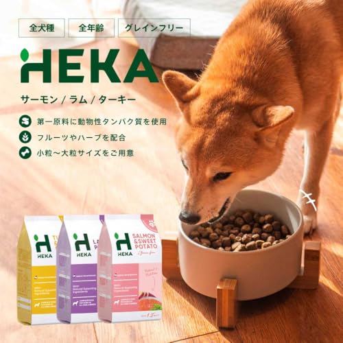 グレインフリードッグフード ターキー 2