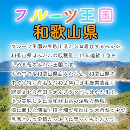 温室みかん 4