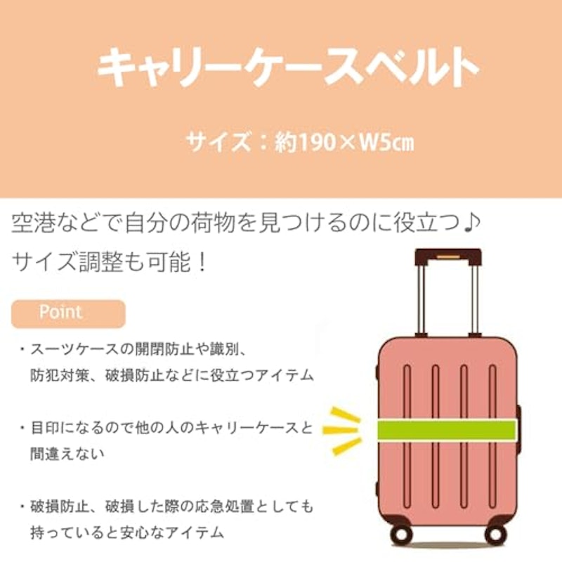 ウォーターシナモン キャリーケースベルト 2