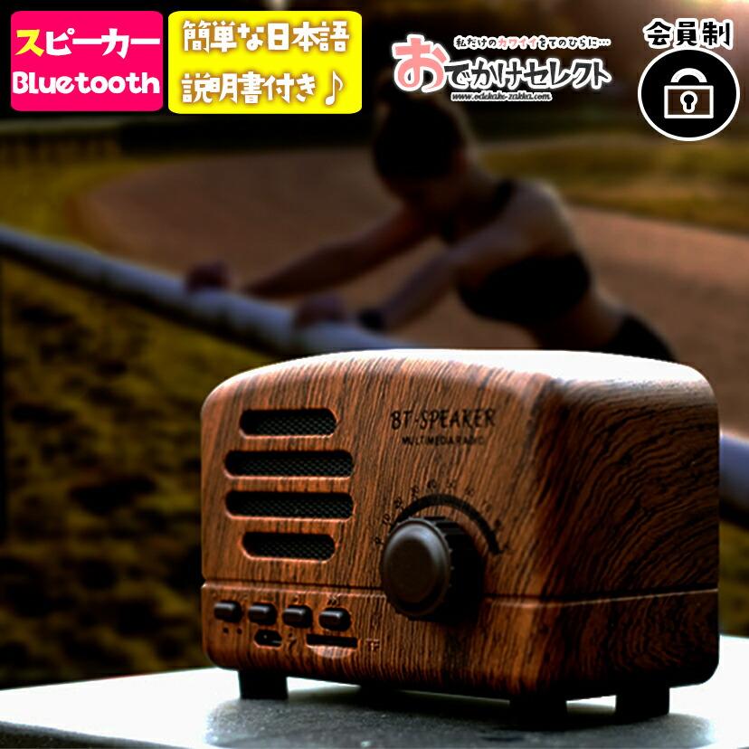 レトロラシオ型スピーカー 1