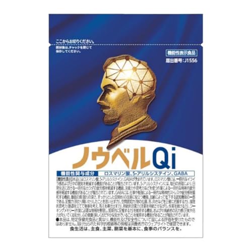 ノウベルQi2 1