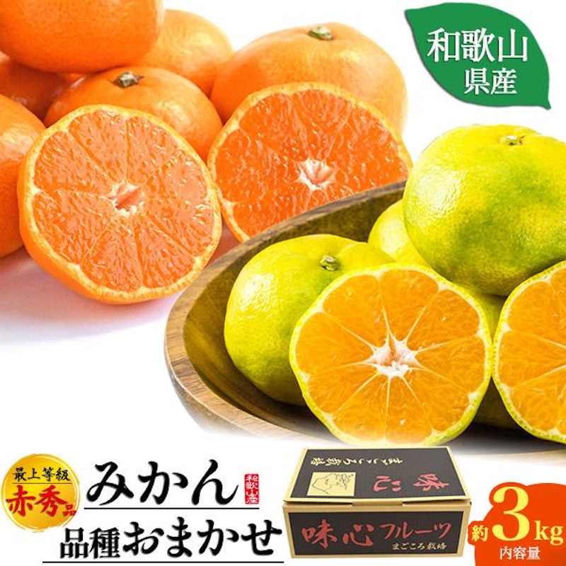 和歌山県産みかん 1