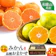 味心出荷組合 和歌山県産みかん 1