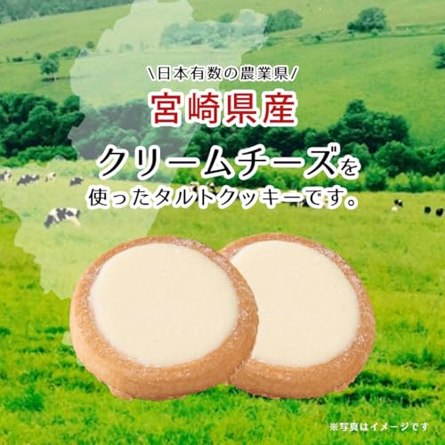 宮崎チーズタイム大 21枚入り 3