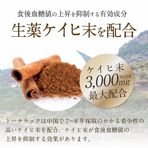 トーチラック 4