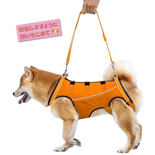 サポートハーネス 1