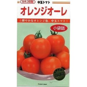 トマト オレンジオーレ 1