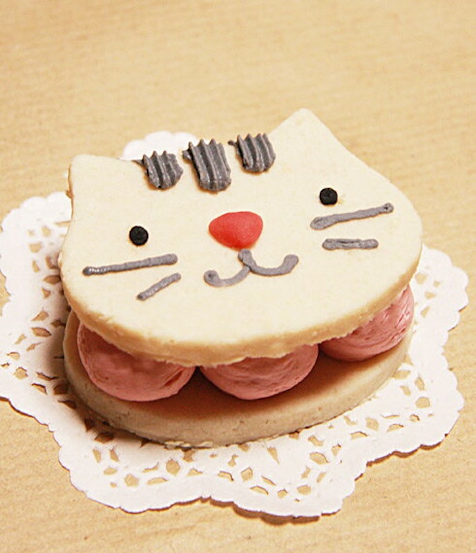猫用ケーキ 1