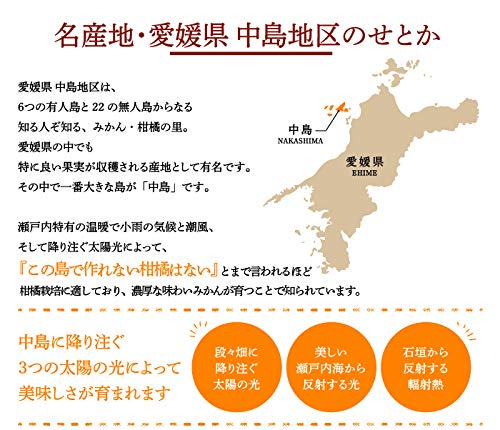 せとか 赤秀 匠と極 4