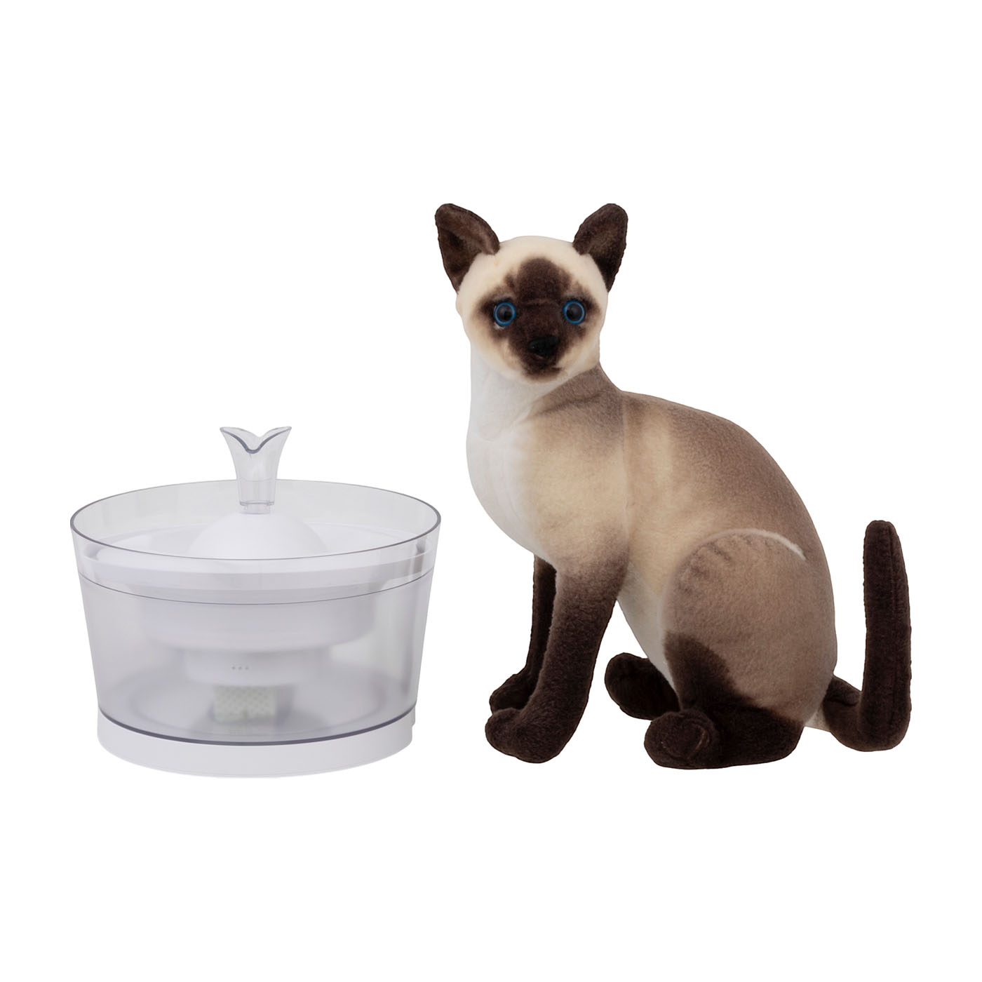グラッシーR 猫用 5