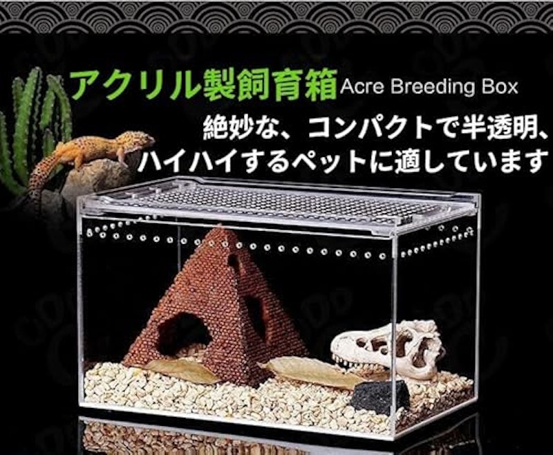 レプタイルボックス 2