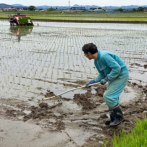 水菜土農園の生ぬか 4