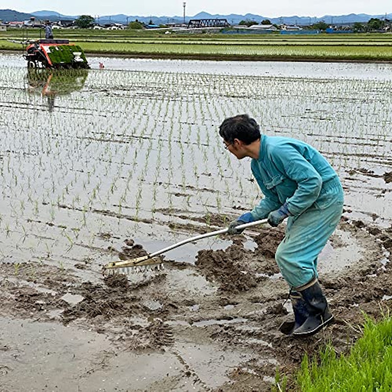 水菜土農園の生ぬか 4