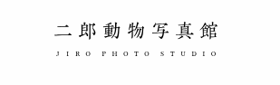 二郎動物写真館 1