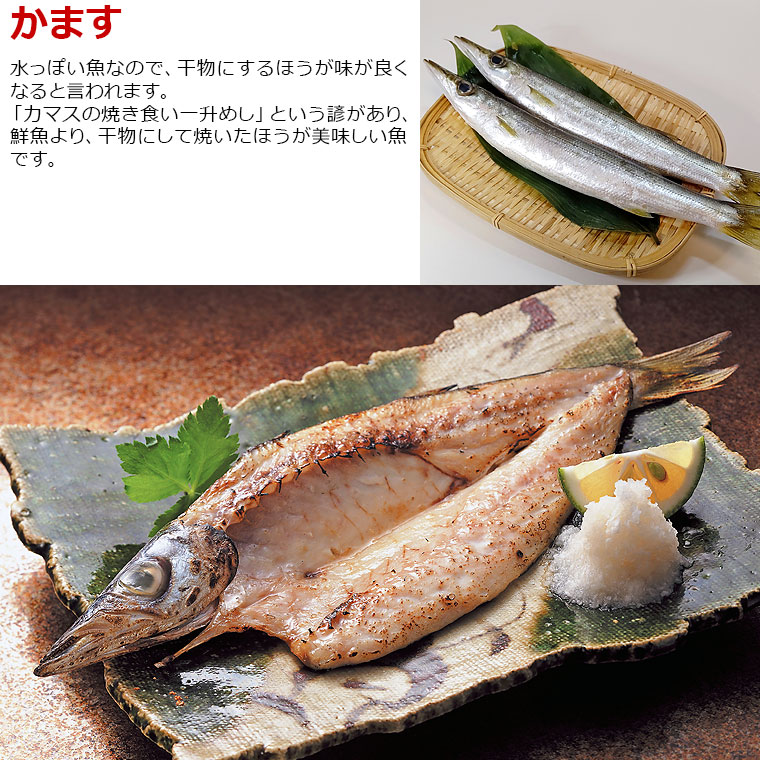 干物セット 10