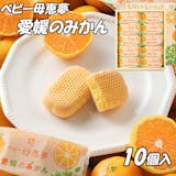 愛媛土産のおすすめ人気ランキング【2026年】 1