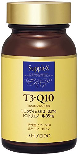 サプレックス T3-Q10 1