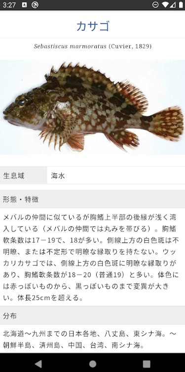 WEB魚図鑑 3