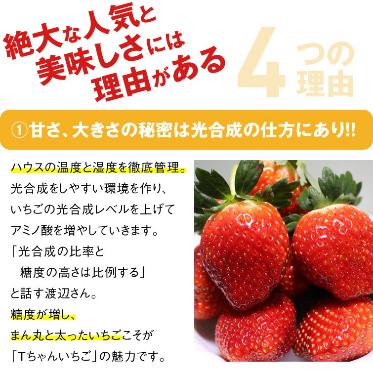 とちあいか 12