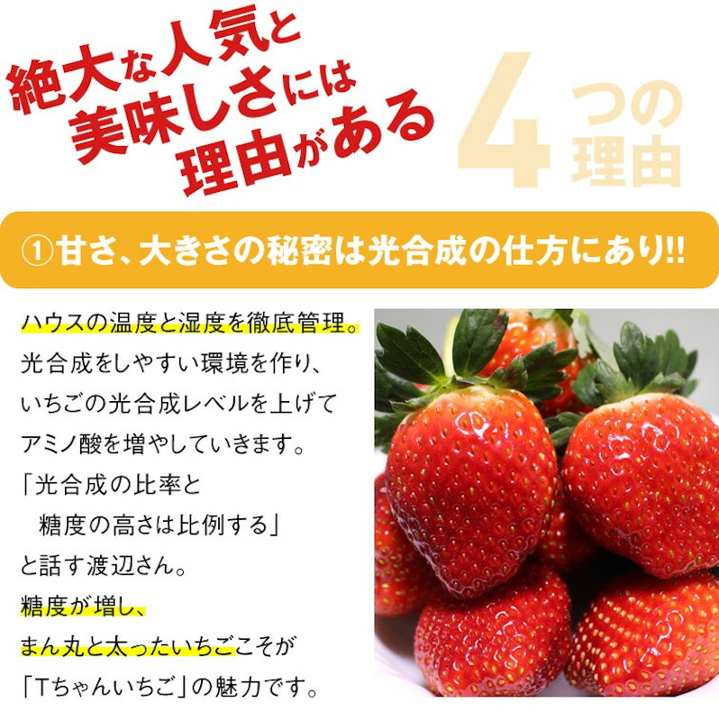とちあいか 12