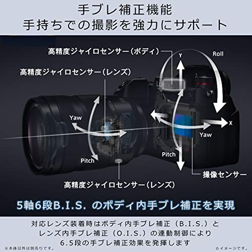 LUMIX DC-S1H 6