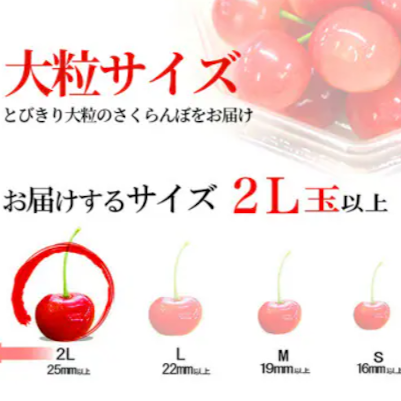 紅秀峰 特秀 3
