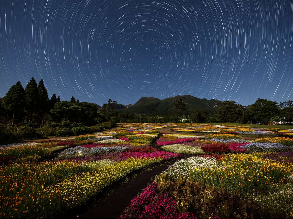 くじゅう花公園キャンピングリゾート花と星 2